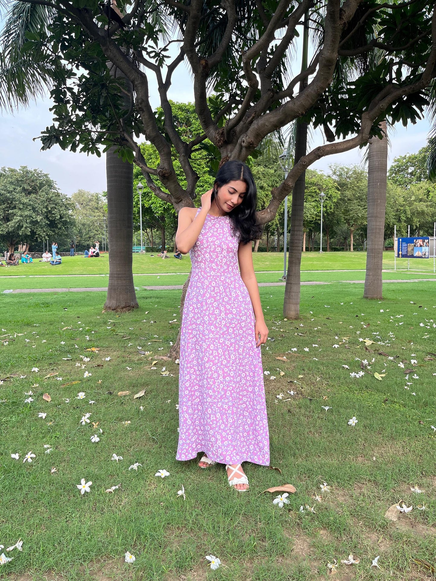AAROHI MAXI DRESS